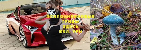 гидра Верхнеуральск