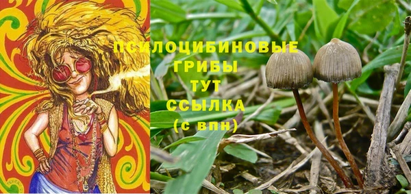 таблы Горняк