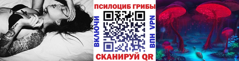 как найти закладки  Весьегонск  Галлюциногенные грибы MAGIC MUSHROOMS 
