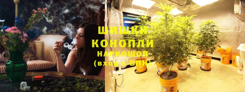 где можно купить наркотик  Весьегонск  Бошки марихуана OG Kush 